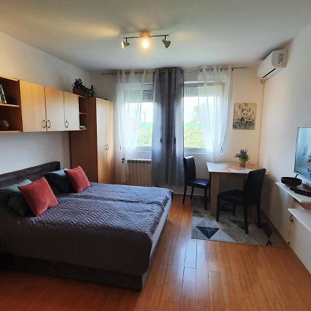Apartman 64 - Besplatan Parking Za Goste Novi Sad Esterno foto