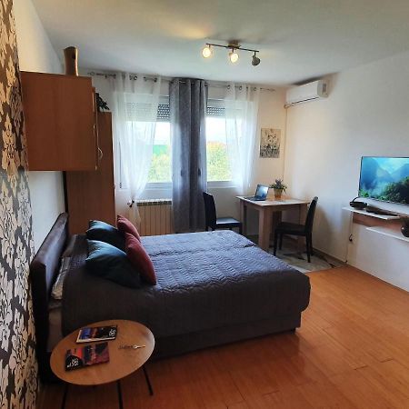 Apartman 64 - Besplatan Parking Za Goste Novi Sad Esterno foto