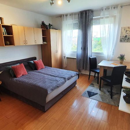 Apartman 64 - Besplatan Parking Za Goste Novi Sad Esterno foto