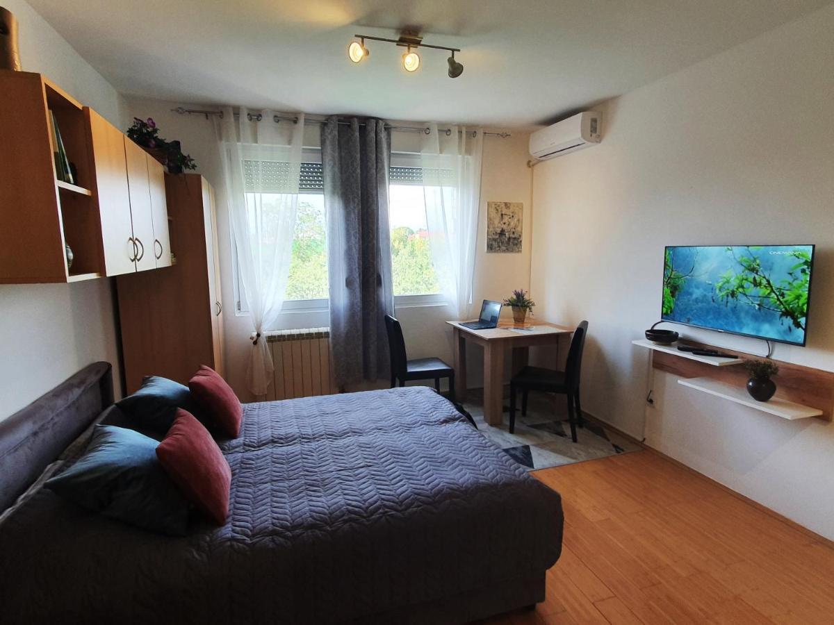 Apartman 64 - Besplatan Parking Za Goste Novi Sad Esterno foto